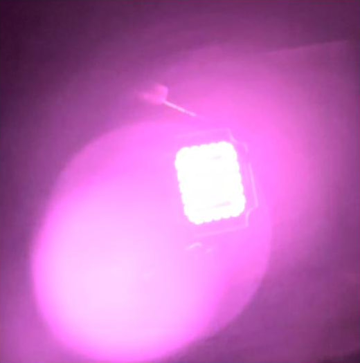 A lit COB LED module photographed by a phone: a bright white square in a wide magenta halo on a dark wall